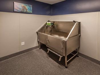 Dog wash station